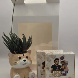 2 סבונים + סוקולנט