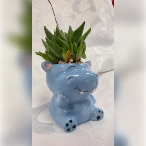 עציץ היפופוטם