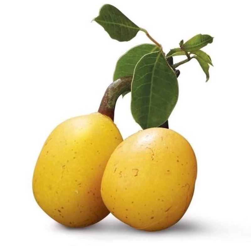 פרי מרולה צהוב עם עלים, הפרי שמגרעיניו מפיקים שמן מרולה